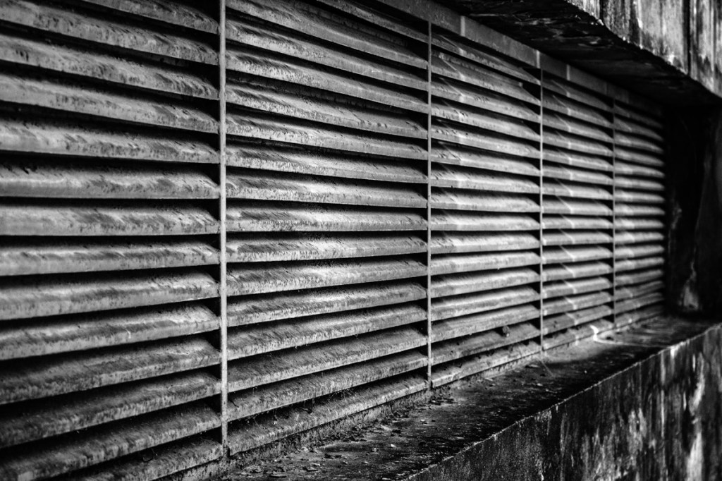 I shit you&nbsp;not.